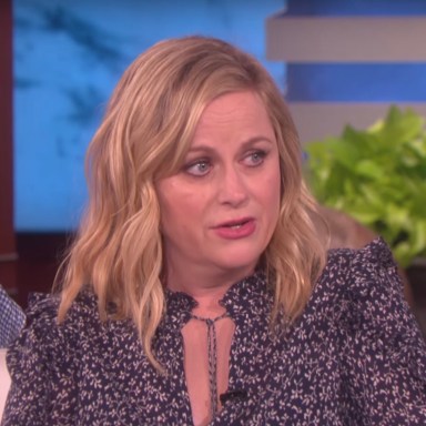 Amy Poehler Is The Hero The World Needs Right Now