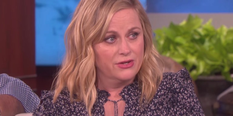 Amy Poehler Is The Hero The World Needs Right Now