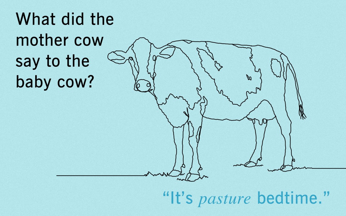 25 Cow Puns That Are Sure To Amoose You | Thought Catalog