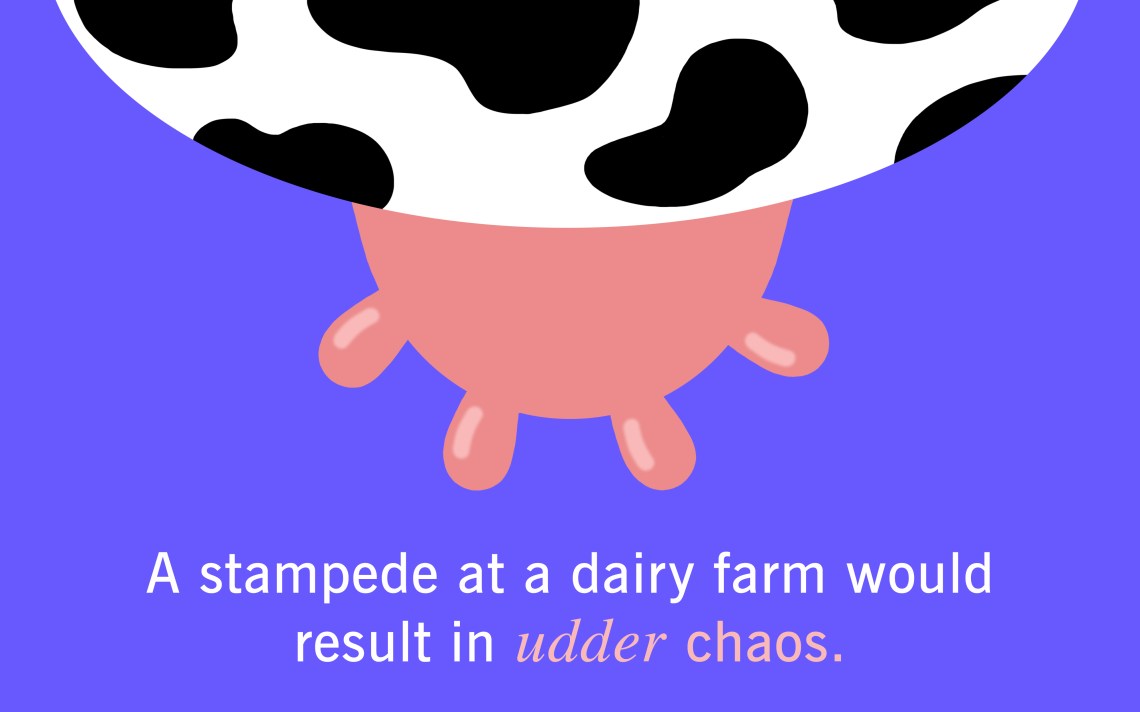 25 Cow Puns That Are Sure To Amoose You | Thought Catalog 25 Cow Puns That Are Sure To Amoose You | Thought Catalog