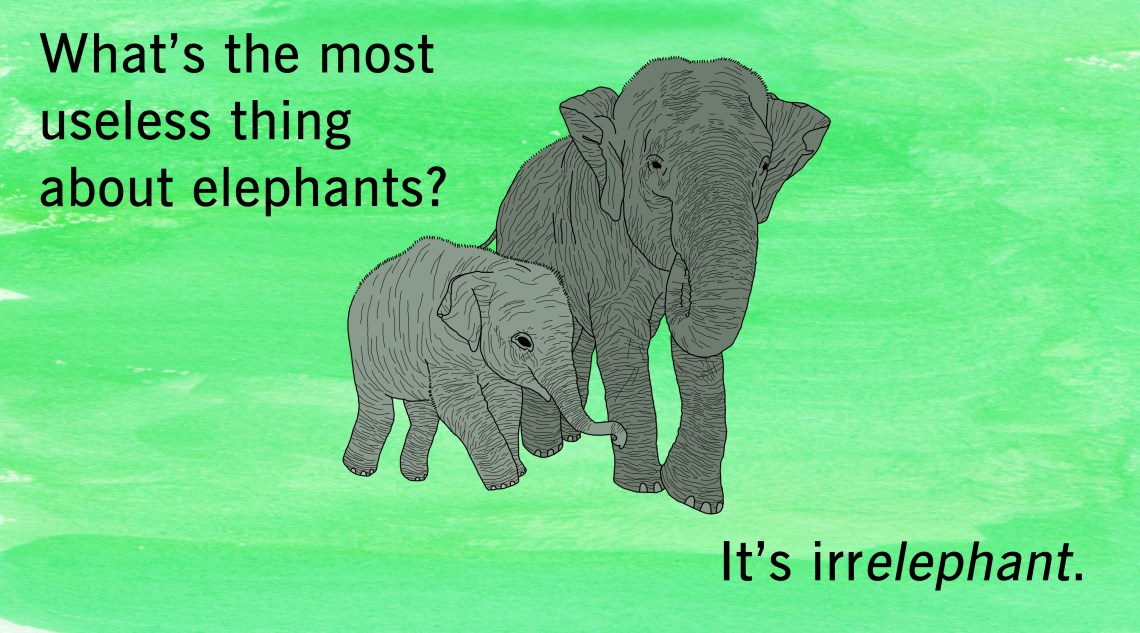 50 Animal Puns That Will Make Ewe Roar With Laughter | Thought Catalog 50 Animal Puns That Will Make Ewe Roar With Laughter | Thought Catalog