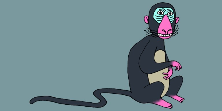 12 Funny Monkey Puns To Share When You’re Monkeying Around