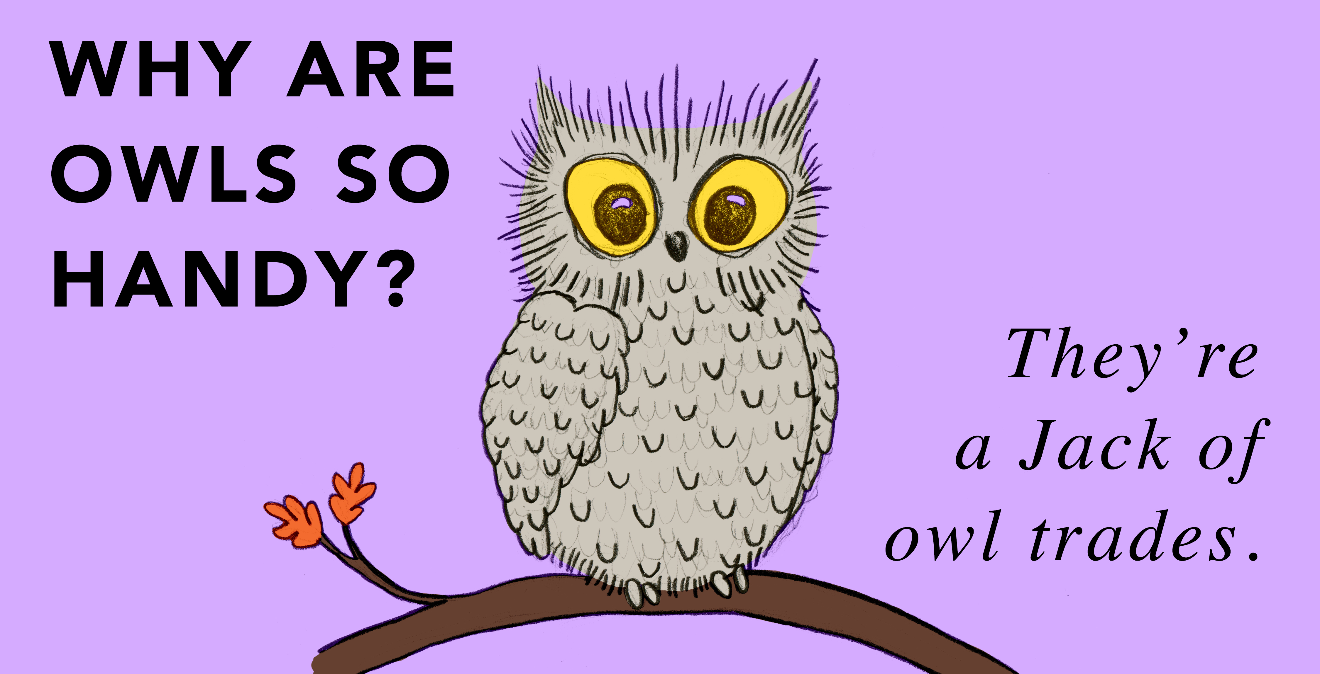 25 Owl Puns That Will Make You Feel Owl The LOLs | Thought Catalog