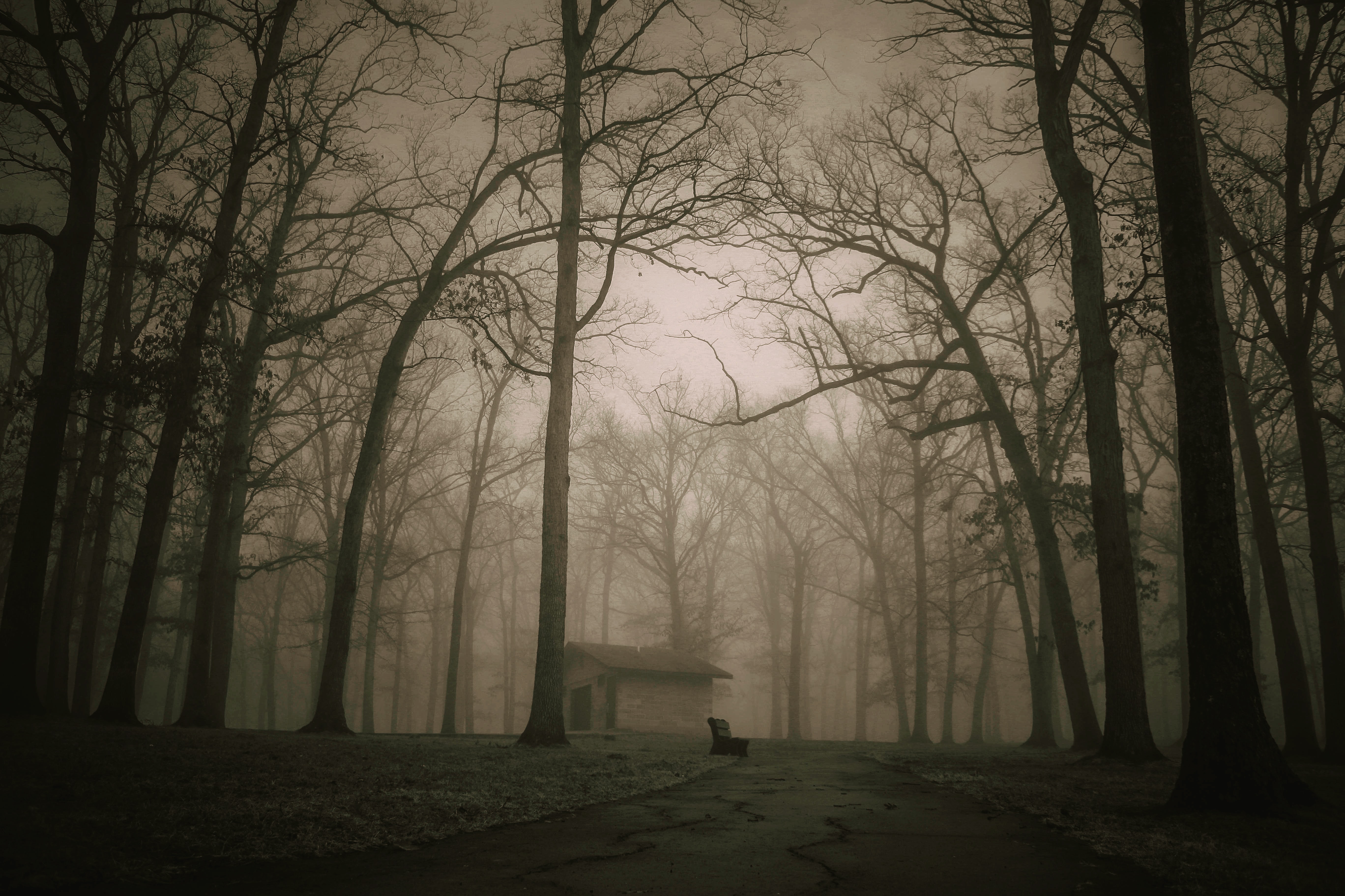 13-real-ghost-stories-that-will-give-you-chills-2020-thought-catalog