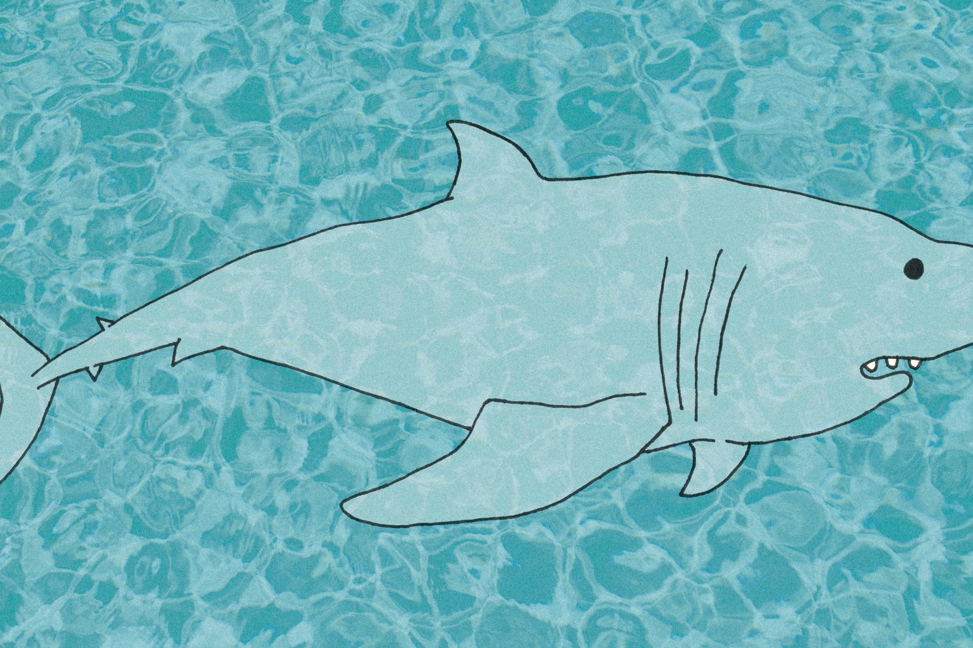 Sink Your Teeth Into These 33 Hysterical Shark Puns | Thought Catalog Sink Your Teeth Into These 33 Hysterical Shark Puns | Thought Catalog