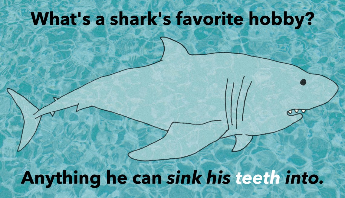 Sink Your Teeth Into These 33 Hysterical Shark Puns | Thought Catalog