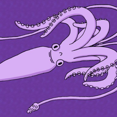 16 Silly Squid Puns That Are Inkredible