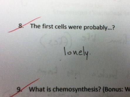 funny exam answers papers