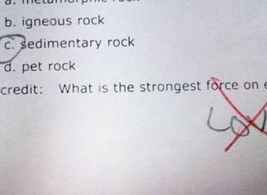 Funny Test Answers