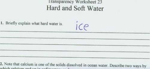 funny exam answers papers