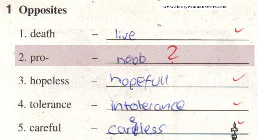 funny exam answers papers