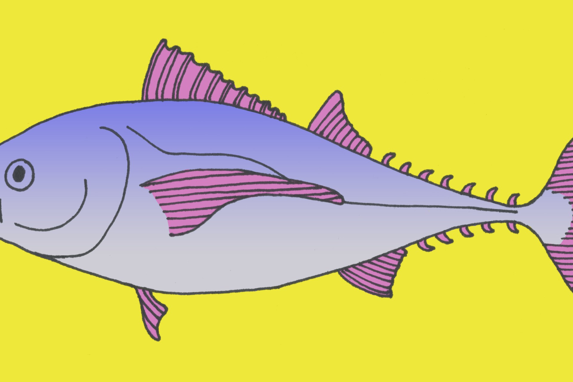 15 Tuna Puns You Should Dive Right Into Thought Catalog