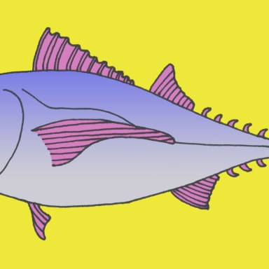 15 Tuna Puns You Should Dive Right Into