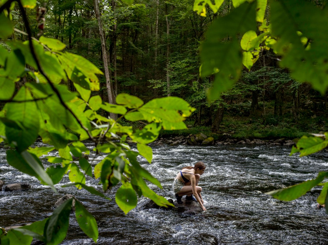 The Catskills