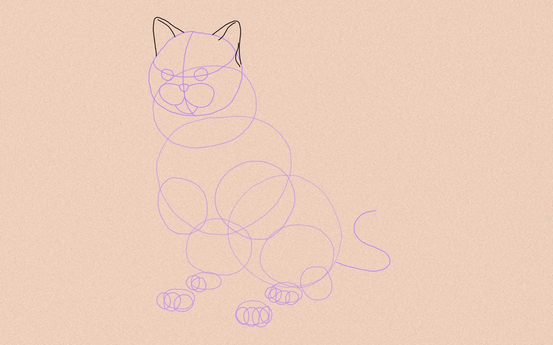 How To Draw A Cat