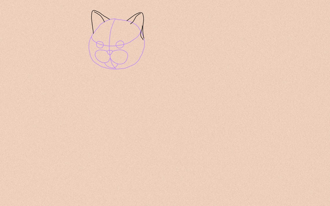 How To Draw A Cat