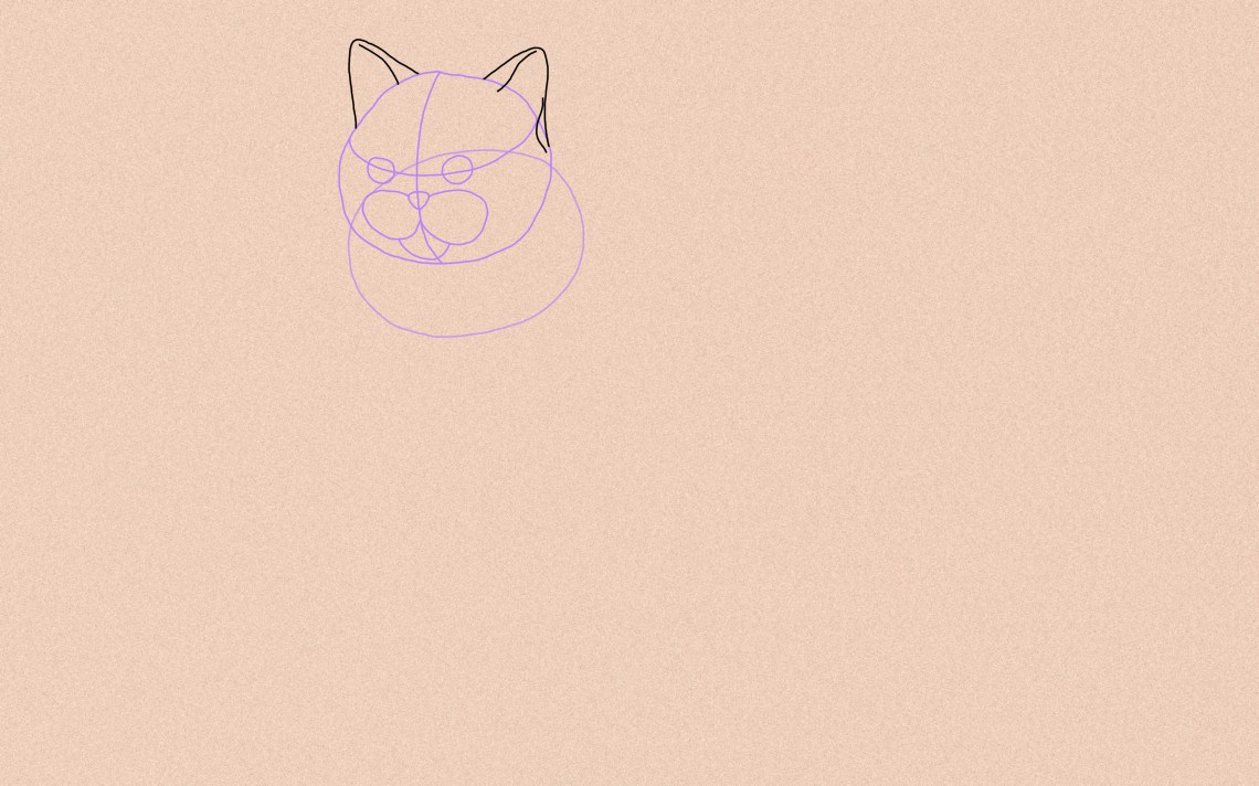 How To Draw A Cat