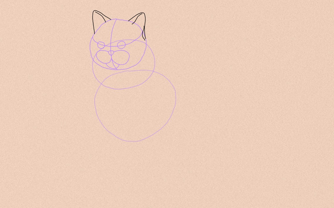 How To Draw A Cat