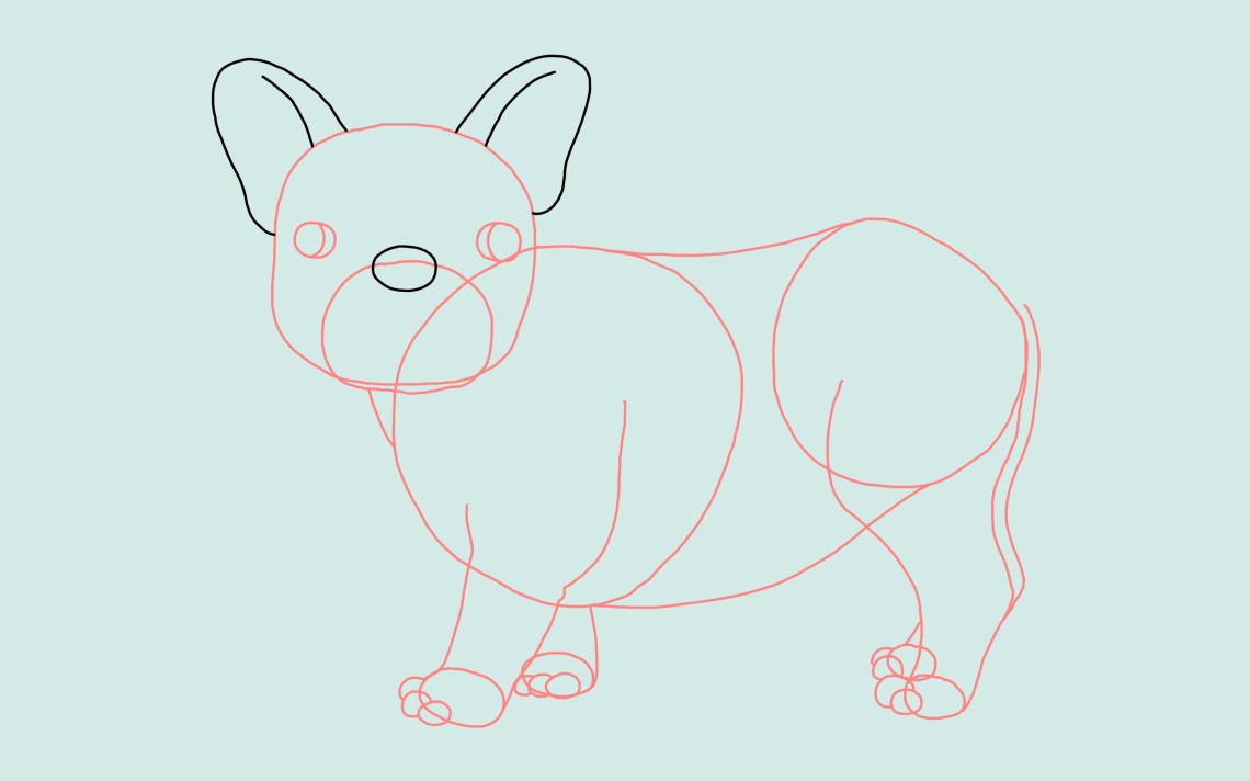 How To Draw A Dog: A Simple, Step By Step Guide For Everyone | Thought