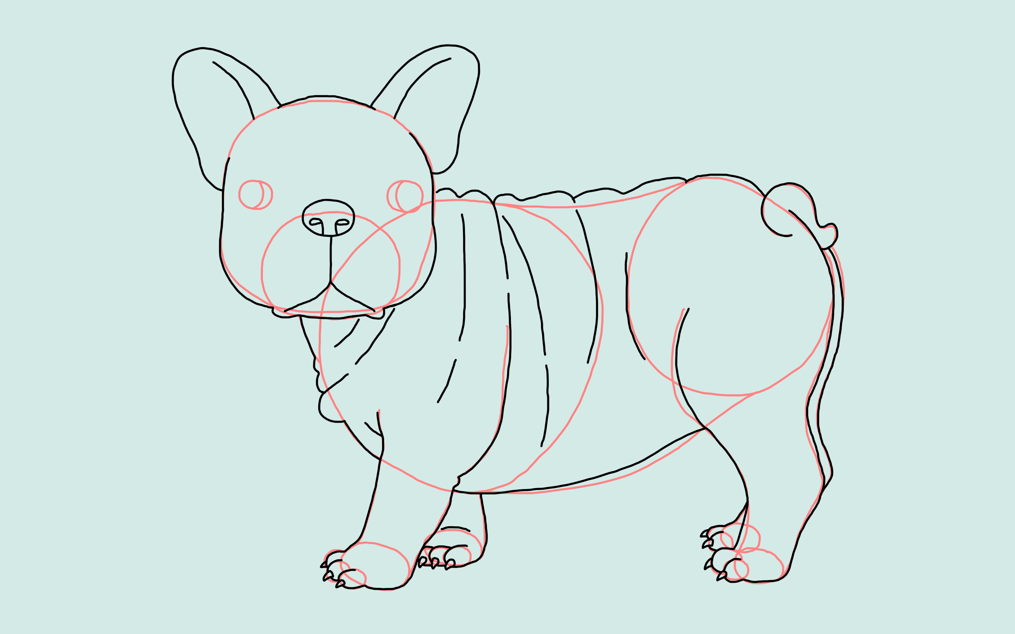 How To Draw A Dog: A Simple, Step By Step Guide For Everyone | Thought Catalog