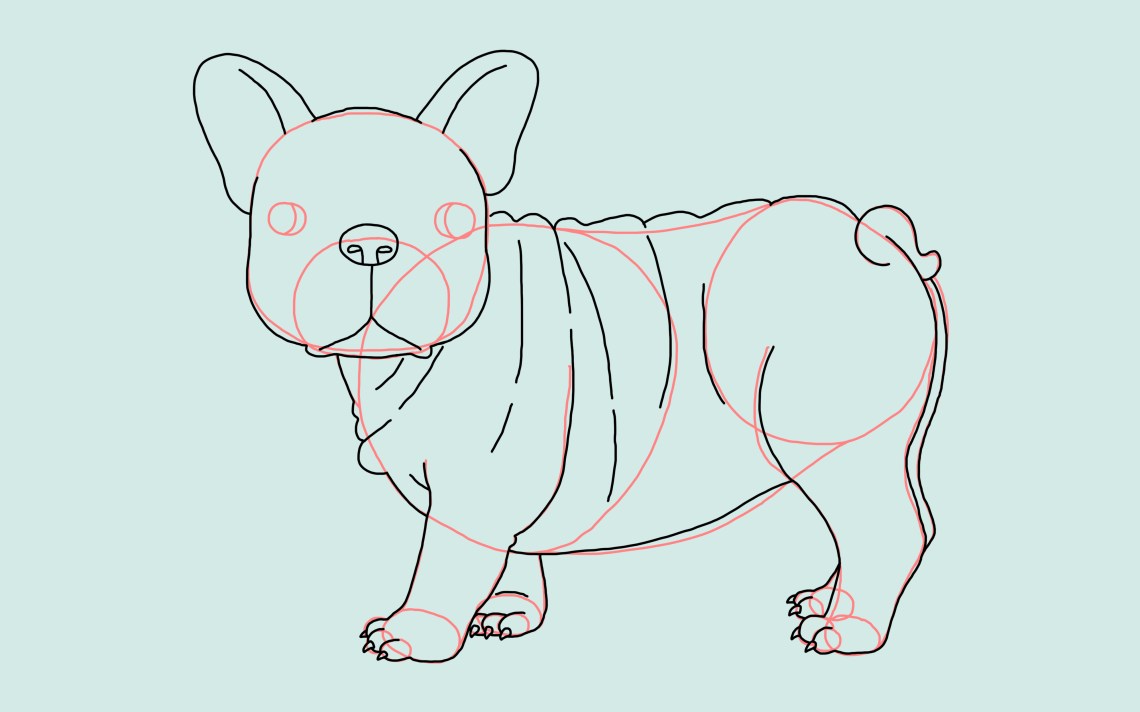 How To Draw A Dog