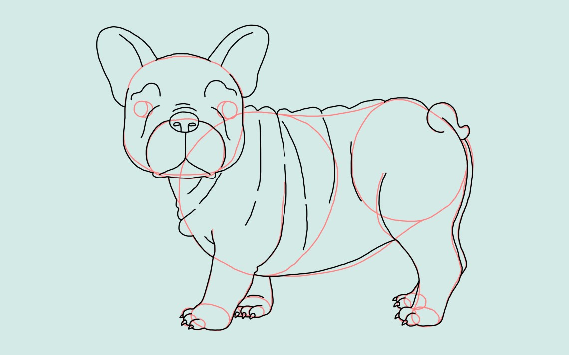 How To Draw A Dog