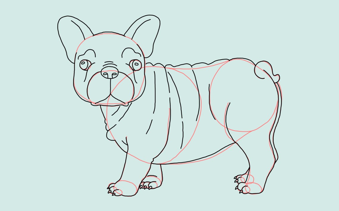 How To Draw A Dog