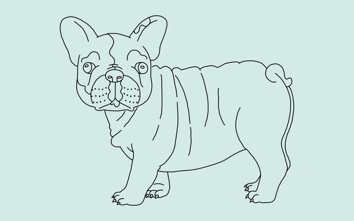 How To Draw A Dog