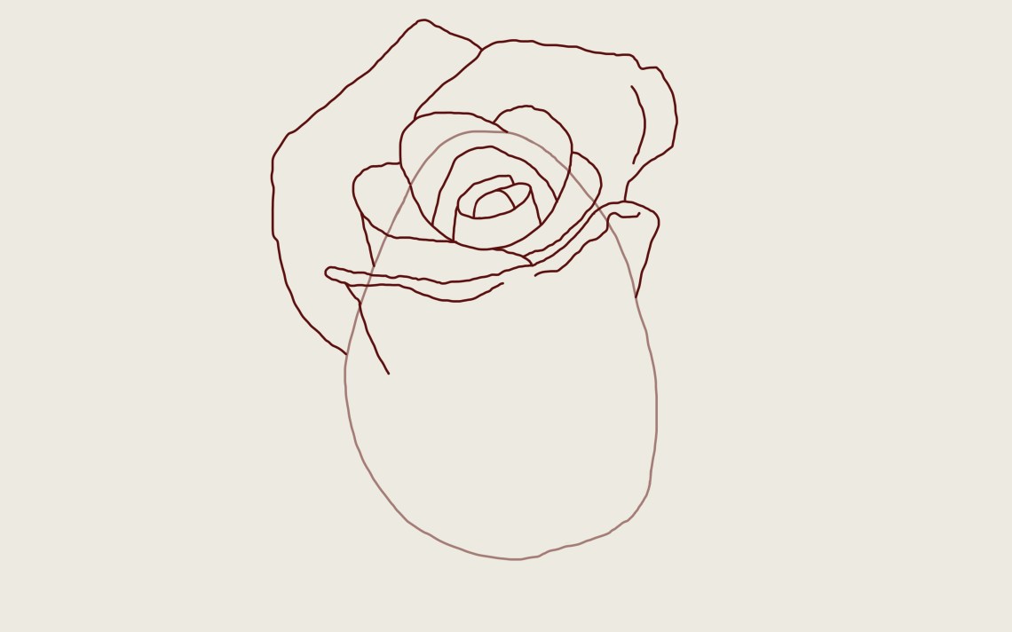 How to Draw a Rose: A Step by Step Guide