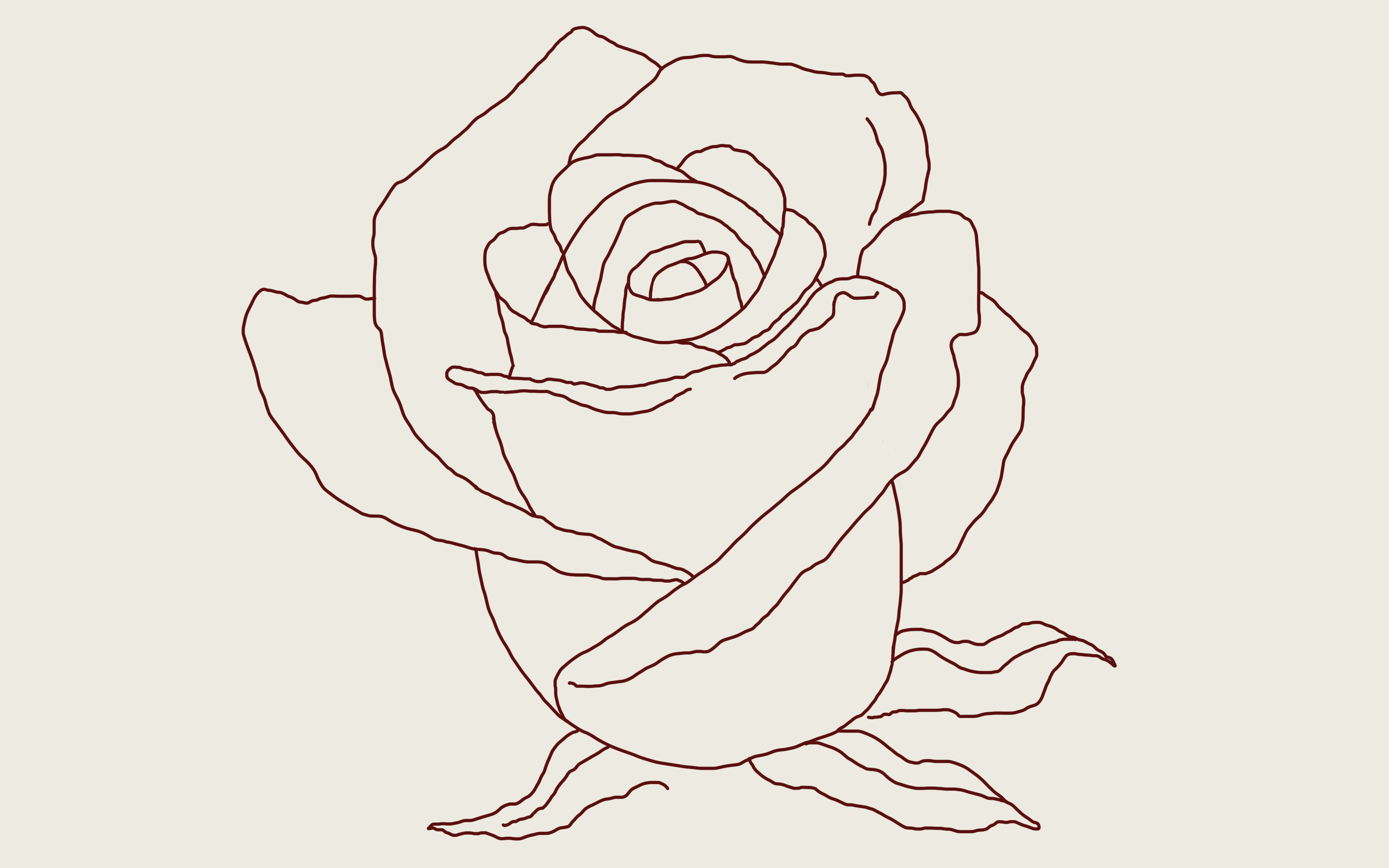 What are the best tips to draw a rose? - Quora