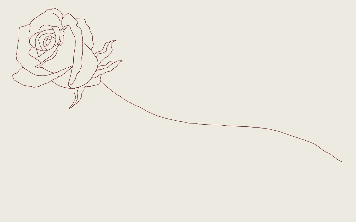 How To Draw A Rose A Step By Step Guide 2020 Updated Thought Catalog