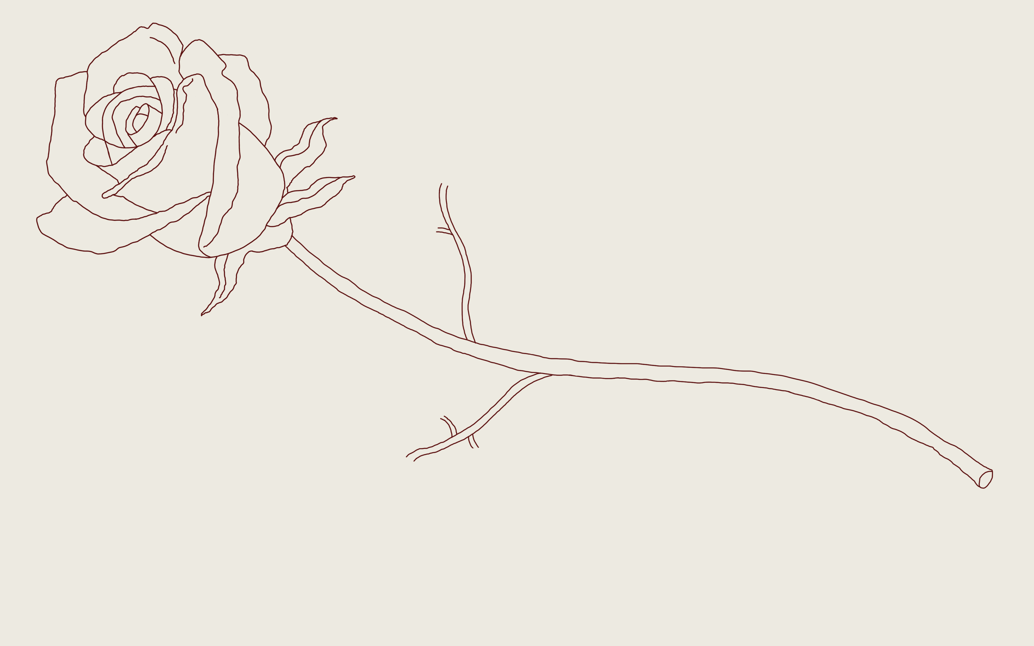 How To Draw A Rose A Step By Step Guide [2020 Updated] Thought Catalog