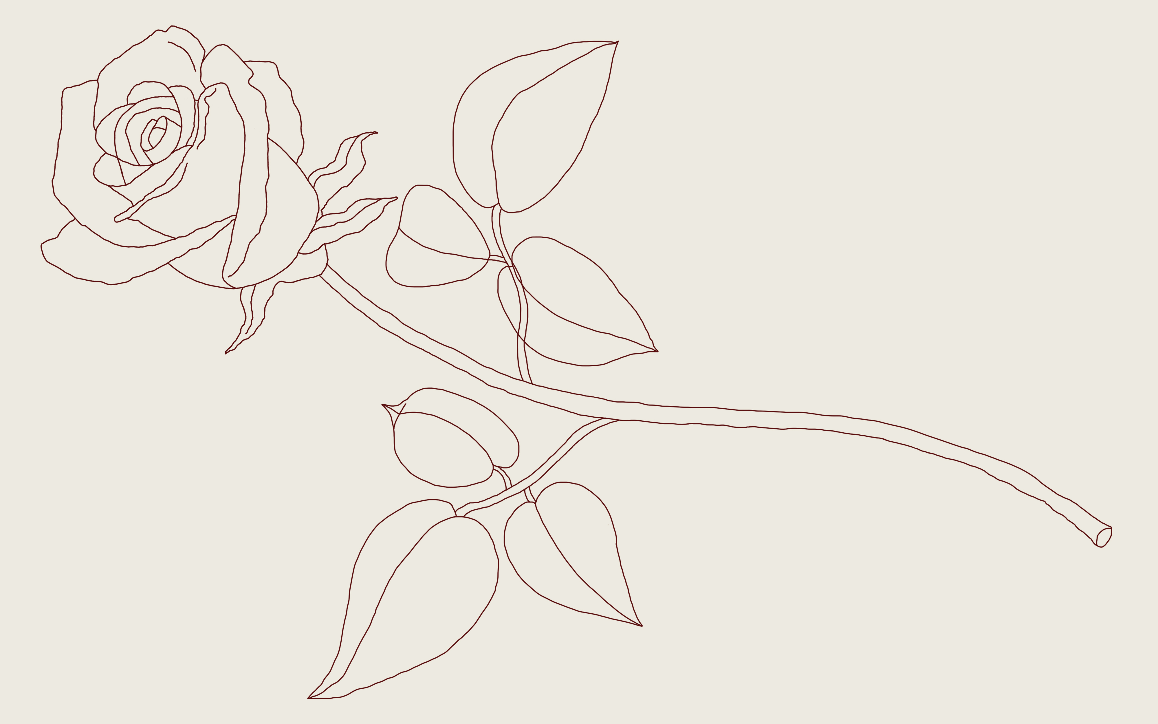 Rose flower linear drawing. Decorative beautiful rose flower with thin  line. Minimalist rose illustration. Vector illustration 21383501 Vector Art  at Vecteezy