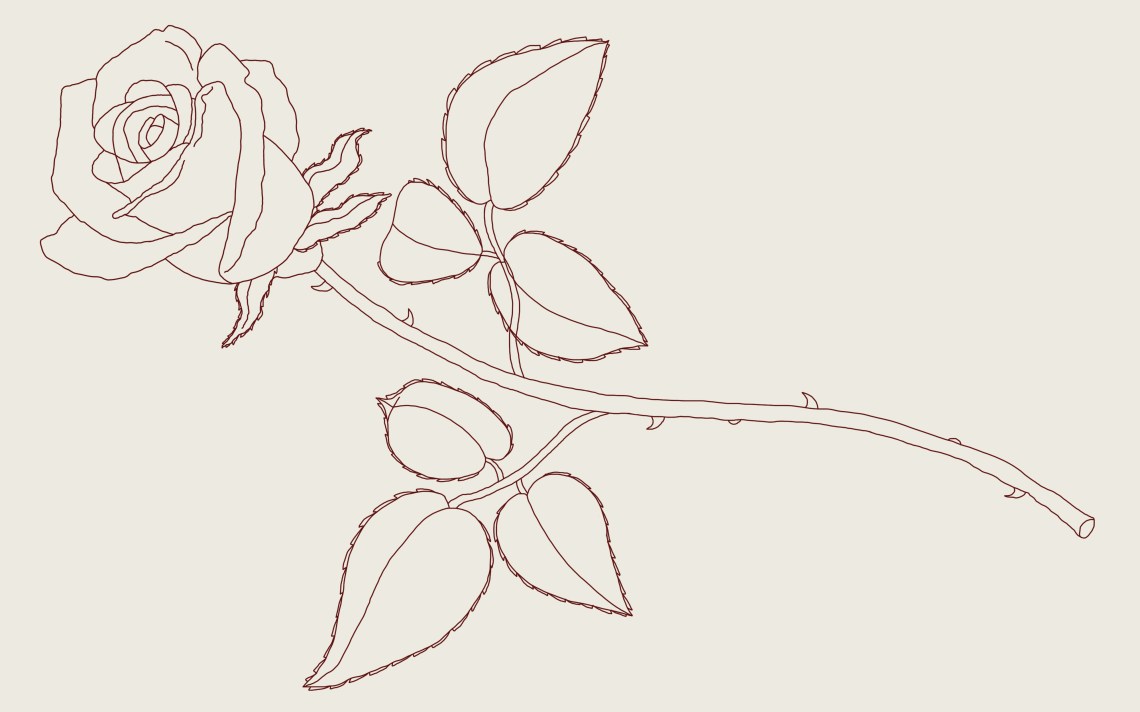 How To Draw A Rose