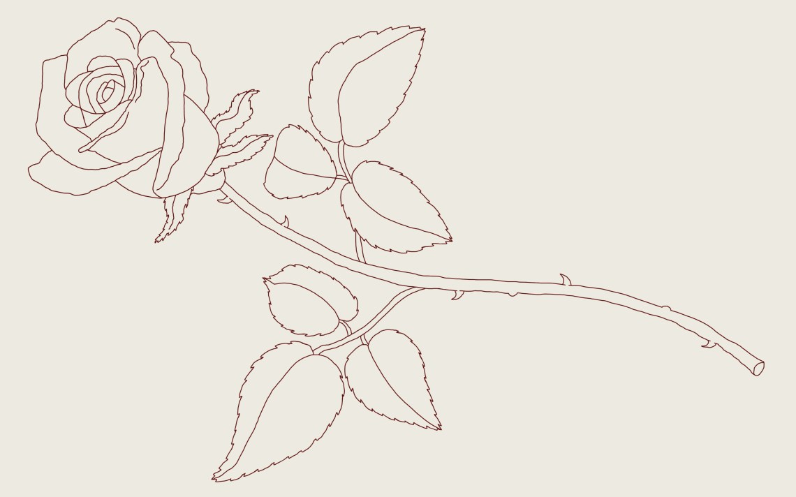 How To Draw A Rose