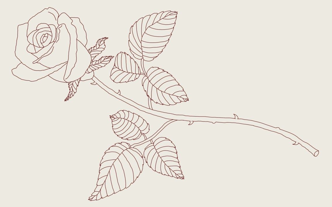 Featured image of post Small Rose Drawing Step By Step - The oval need not be perfect.