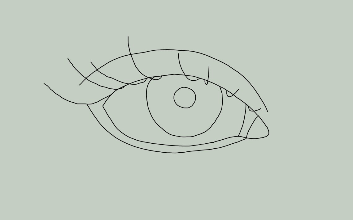 How To Draw Eyes A Step By Step Guide Thought Catalog