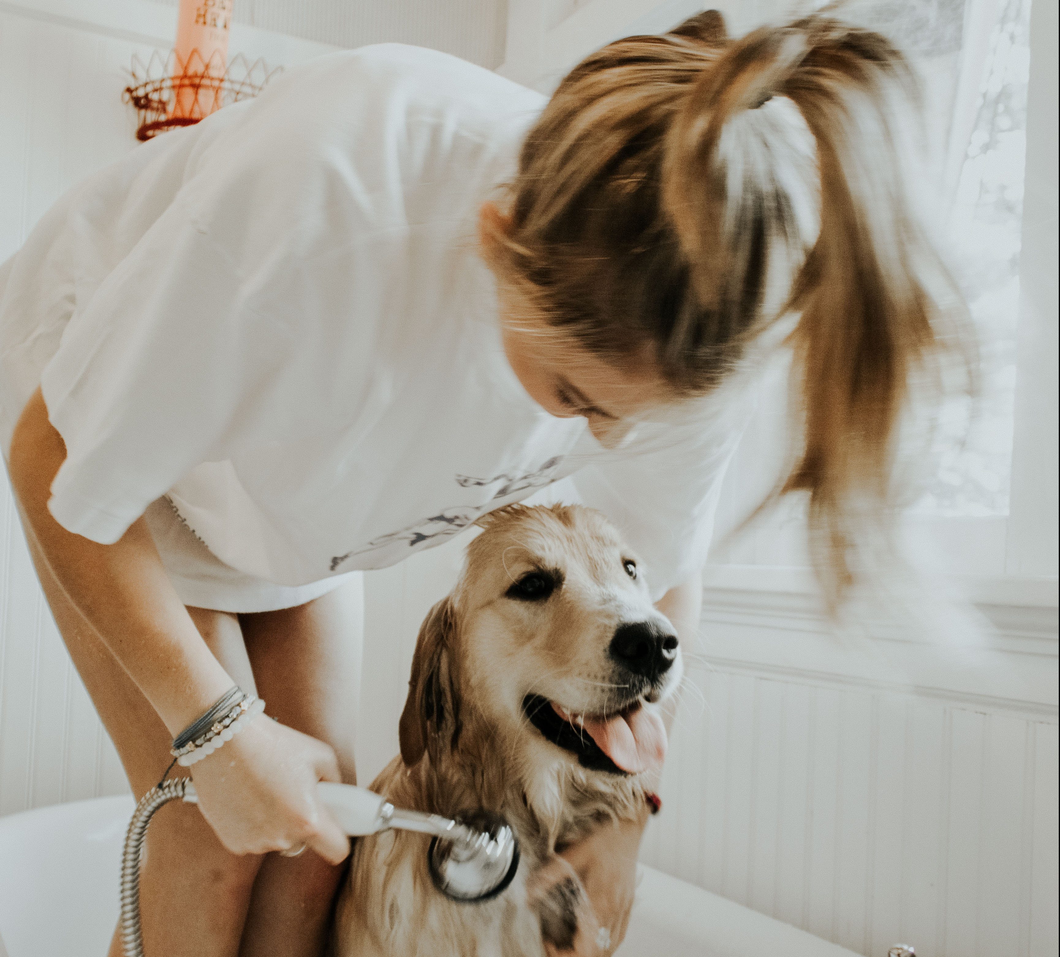 Why Do Dogs Eat Cat Poop? Thought Catalog