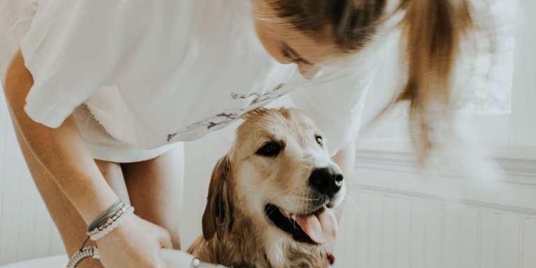 CBD As A Dog Remedy — The Animal Anxiety Issue Not Enough People Are Barking About