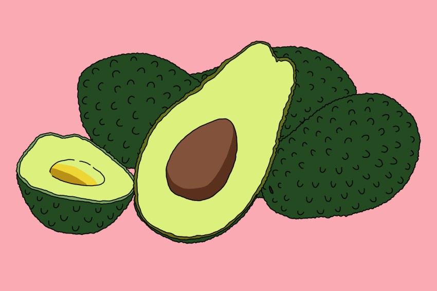 Avocado Puns