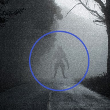 14 Facts About The Beast Of Bray Road, The Creepiest ‘Animal’ You’ve Never Heard Of