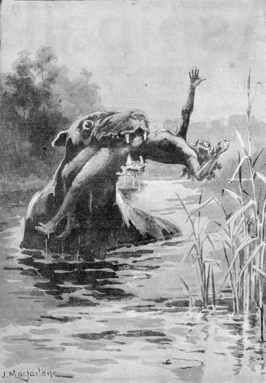 18 Facts About The Bunyip, A Cryptic From The Swamps Of Australia