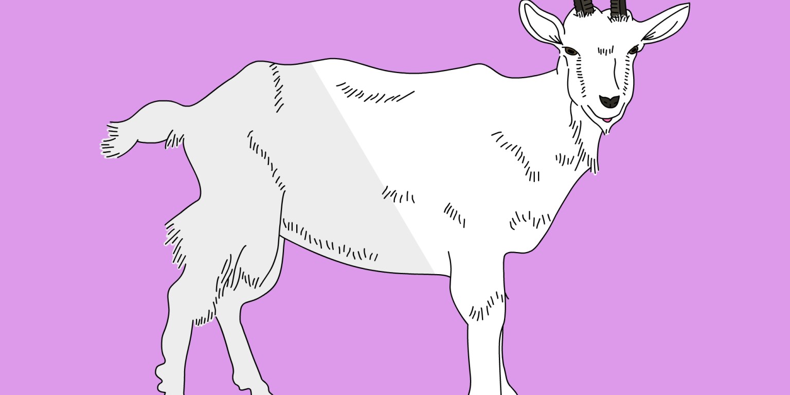 47 Goat Puns That Aren't So Baaaaaaaad (If You've Goat The Time) | Thought  Catalog