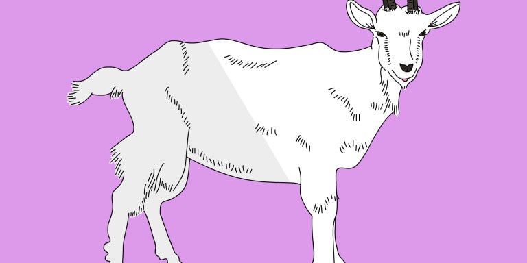 47 Goat Puns That Aren’t So Baaaaaaaad (If You’ve Goat The Time)