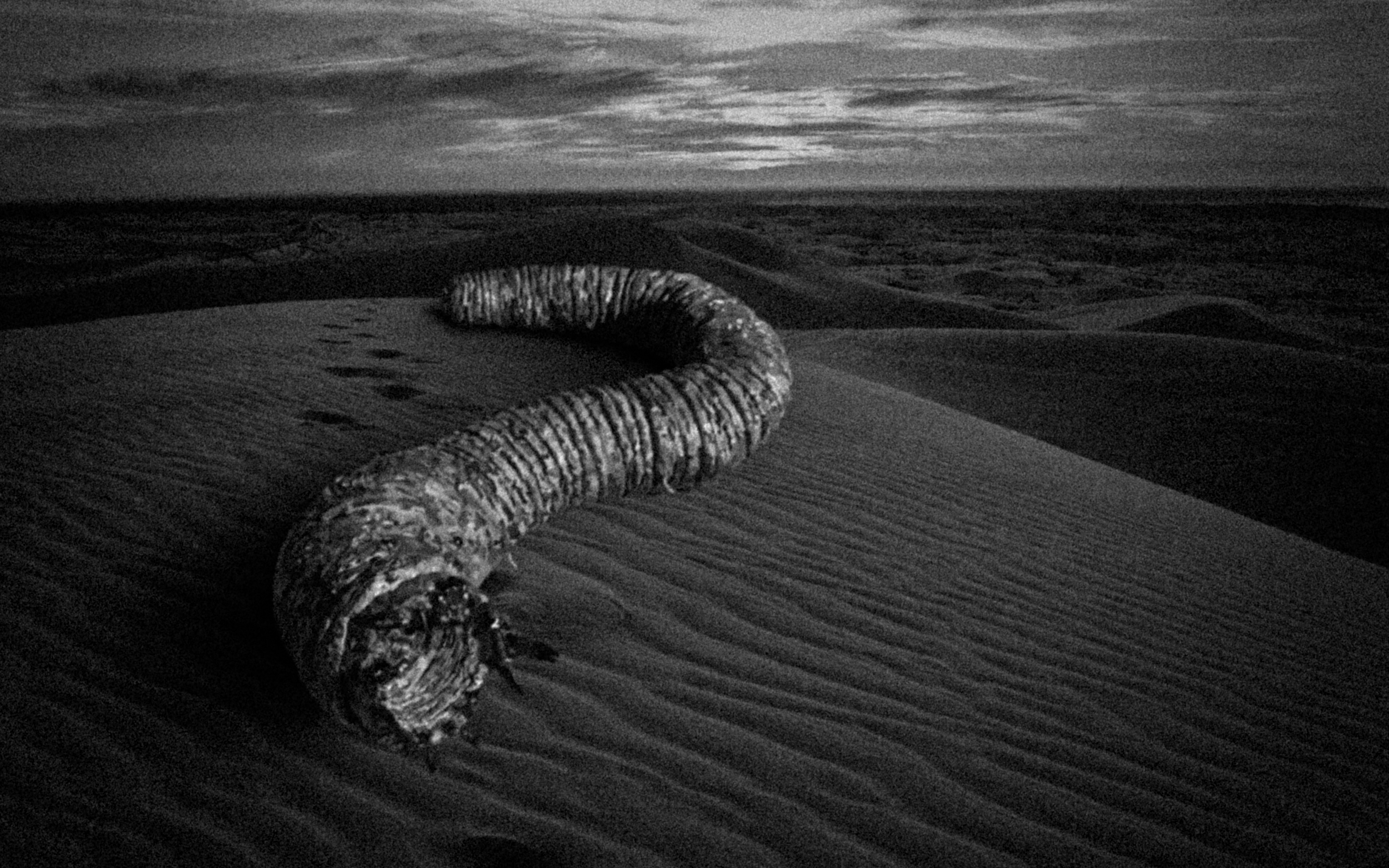 15 Disturbing Facts About The Mongolian Death Worm Thought Catalog