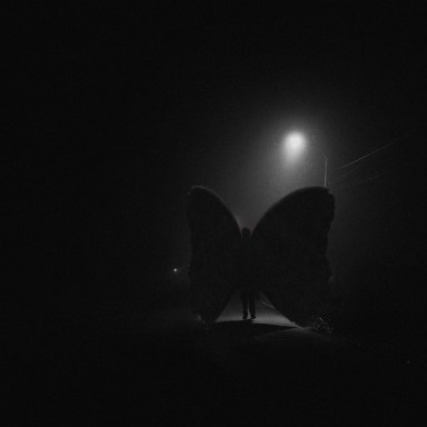 12 Facts About The Mothman, The Terrifying Creature You Never Want To See