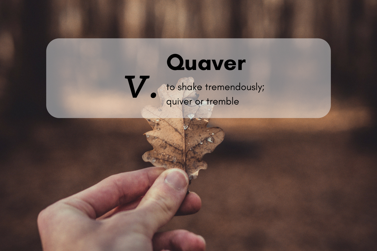 Quaver (v.) to shake tremendously; quiver or tremble