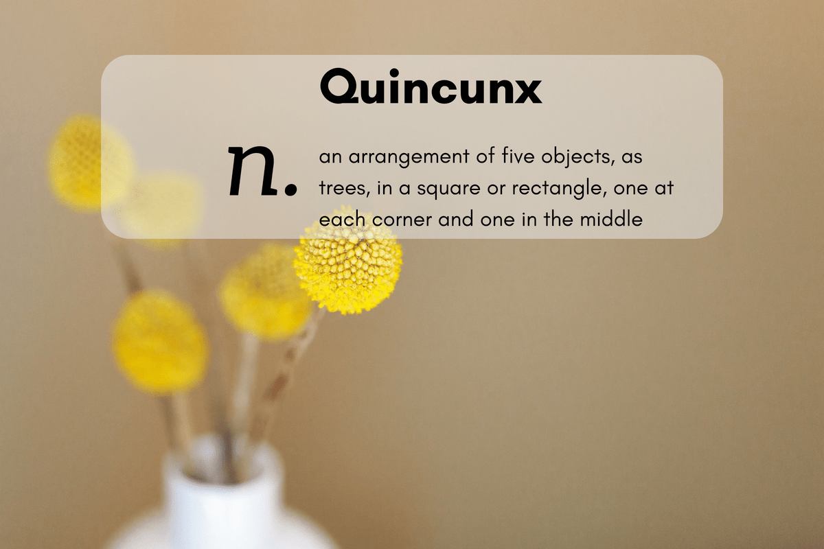 40 Words That Start With Q And Their Quirky Definitions | Thought Catalog