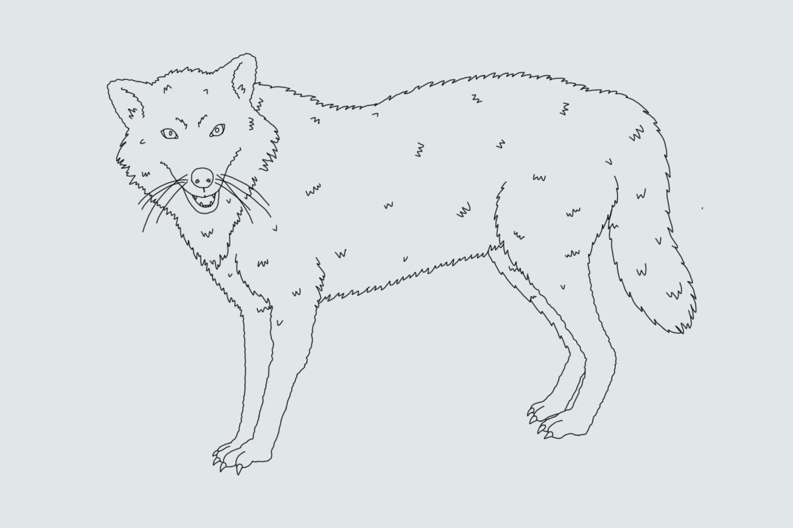 wolf walking drawing