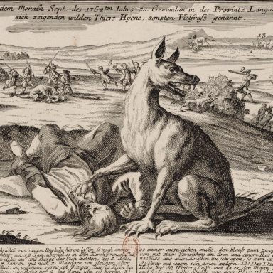 12 Facts About The Beast Of Gévaudan, The Wolflike Creature Who Terrorized France